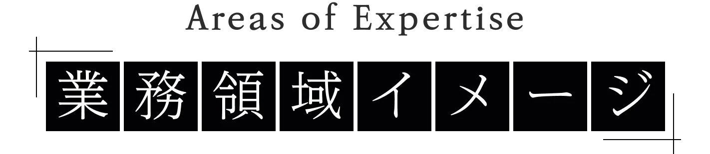 Areas of Expertise 業務領域のイメージ