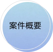 案件概要